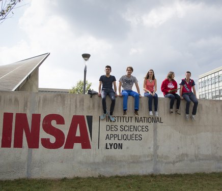 grupo INSA