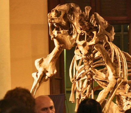142 aniversarios del Museo de Paleontología.jpg