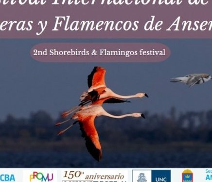 2o-festival-aves-playeras-768x438.width-800.jpg