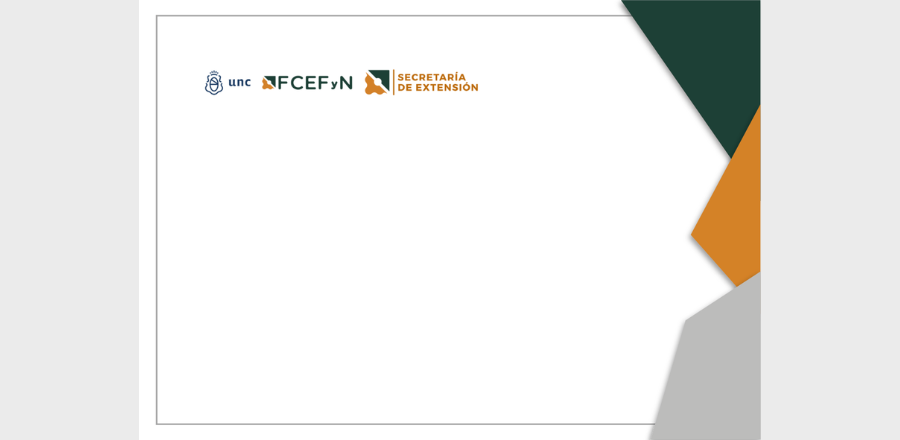 Modelo Insignia Premiaciones FCEFyN