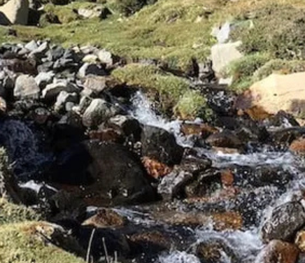Análisis de metales pesados en agua, sedimentos y plantas acuáticas colectadas en ecosistemas de vegas altoandinas..png