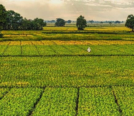 Anita - Portada Web  (46).jpg