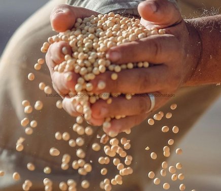 Anita - Portada Web  (47).jpg