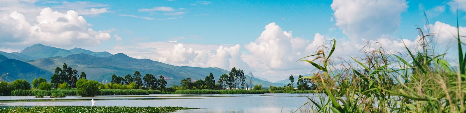 Anita - Portada Web  (51).jpg