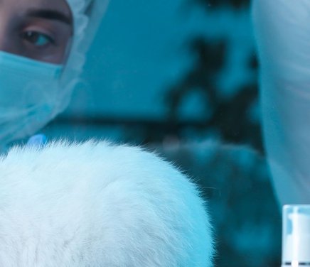 Anita - Portada Web  (52).jpg