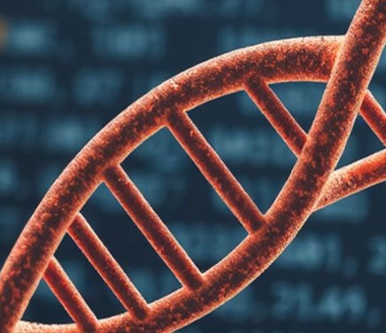 Anita - Portada Web  (53).jpg