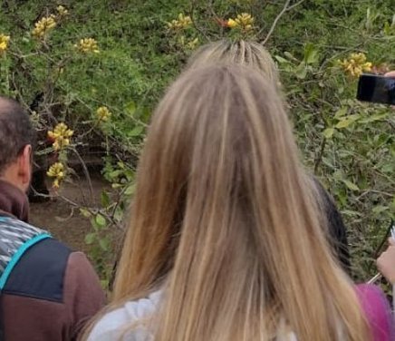 Aprendizaje y Ambiente.jpg