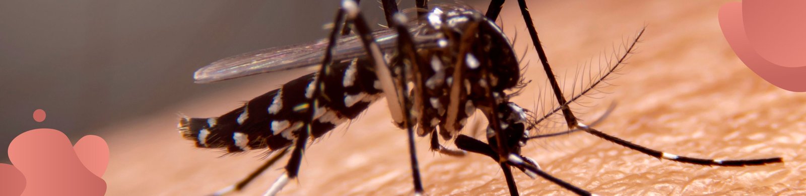Aspectos eco- epidemiológicos y sociales de enfermedades transmitidas por insectos hematófagos de importancia sanitaria.jpg