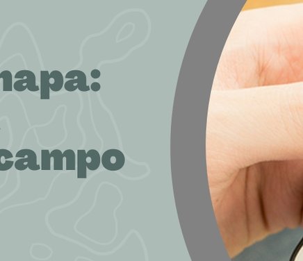 Banner notas web FCEFyN.jpg
