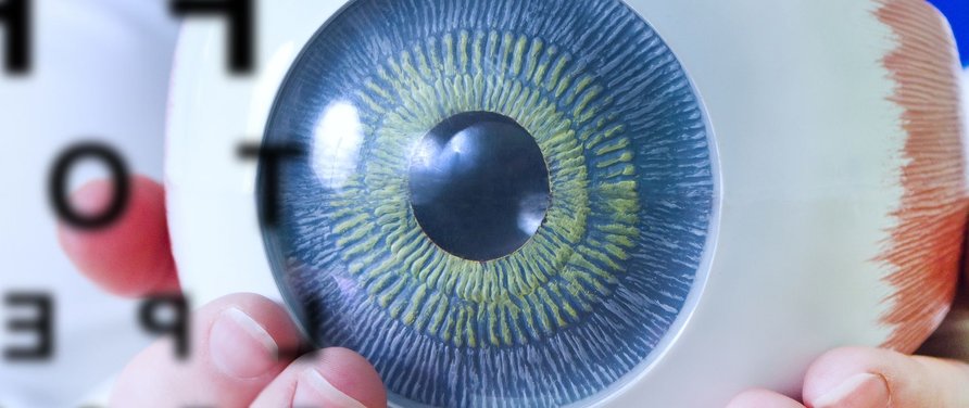 Beca Interna Doctoral CONICET Formulaciones oftalmológicas de losartán para el tratamiento de la vitreorretinopatía proliferativa.jpg