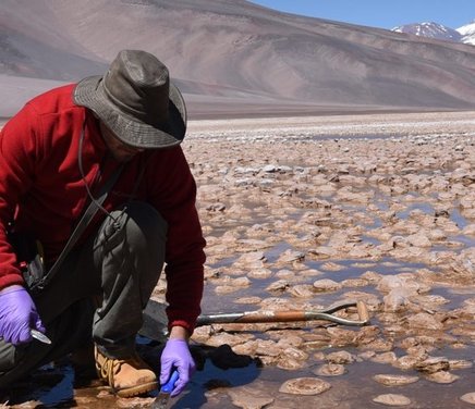 Centro de Investigaciones en Ciencias de la Tierra.jpg