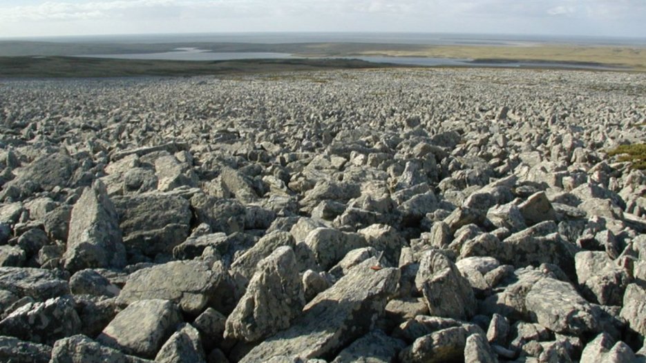 Ríos de piedra de cuarcitas de la Fomación Puerto Argentino (Silúrico-Devónico)