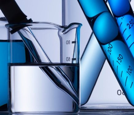 Estudios biofísicos sobre la interacción de compuestos bioactivos de origen vegetal (fitoquímicos) con membranas naturales. .jpg