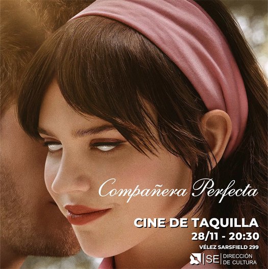 FLYER COMPAÑERA PERFECTA.jpg