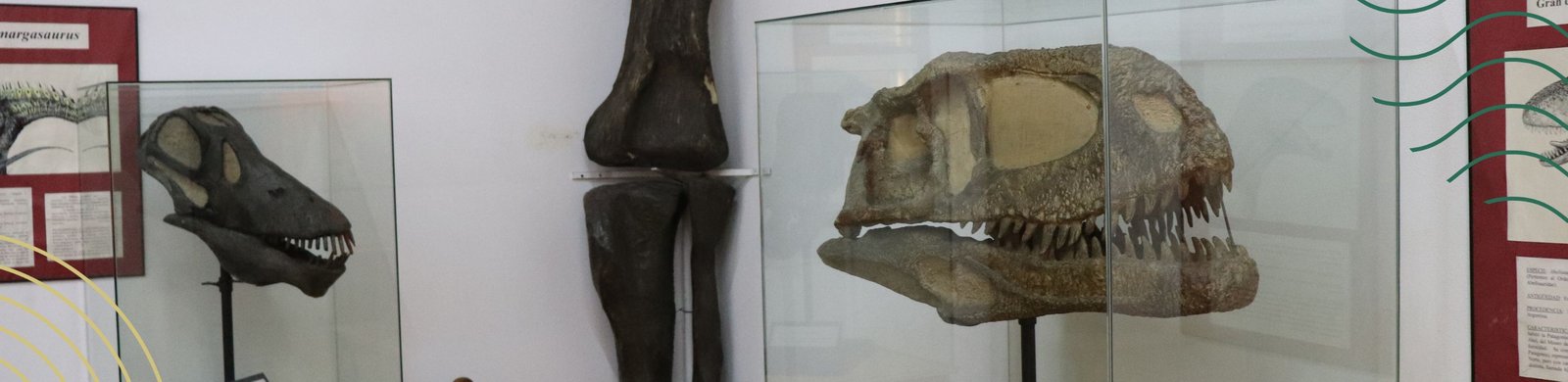 ¡Felices 141 años Museo de Paleontología!.jpg