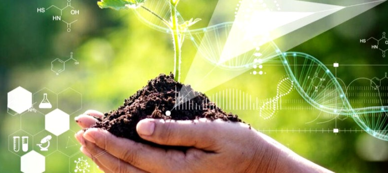 Defensa de Tesis Doctoral: Respuesta de las comunidades microbianas del suelo a la conversión de ecosistemas prístinos en agroecosistemas de producción intensiva en la Región Pampeana