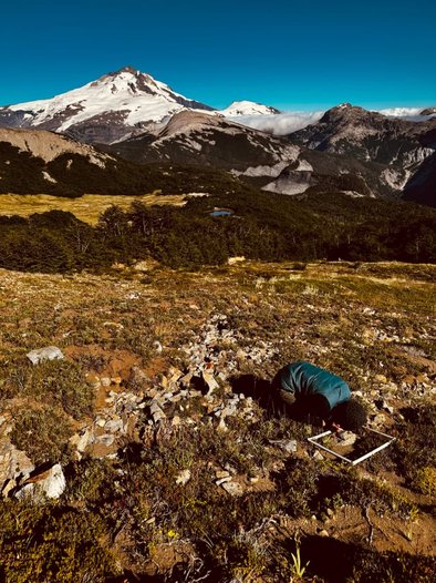 Defensa de Tesis Doctoral: Estructura de las comunidades de líquenes en gradientes ambientales y microhábitats en Patagonia Norte