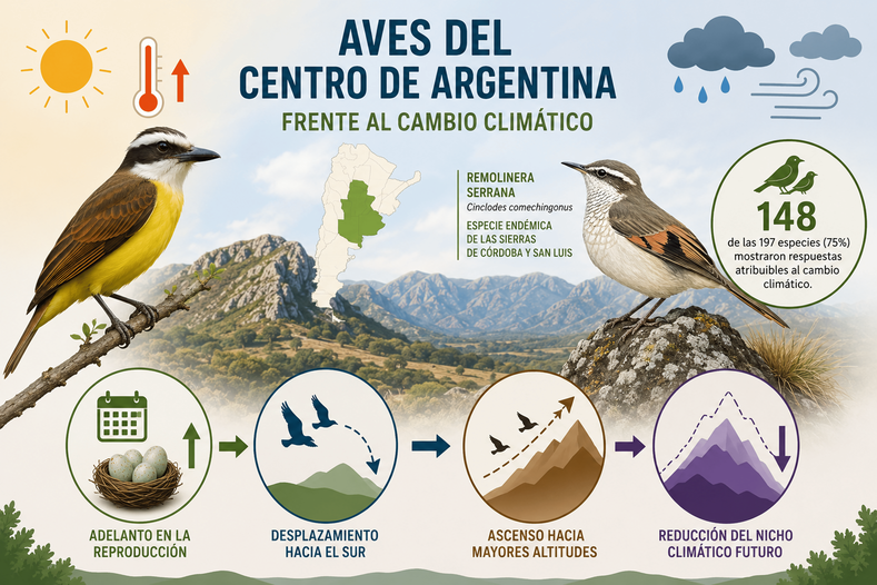 Defensa de Tesis Doctoral: Efectos del cambio climático global sobre la avifauna del centro de Argentina