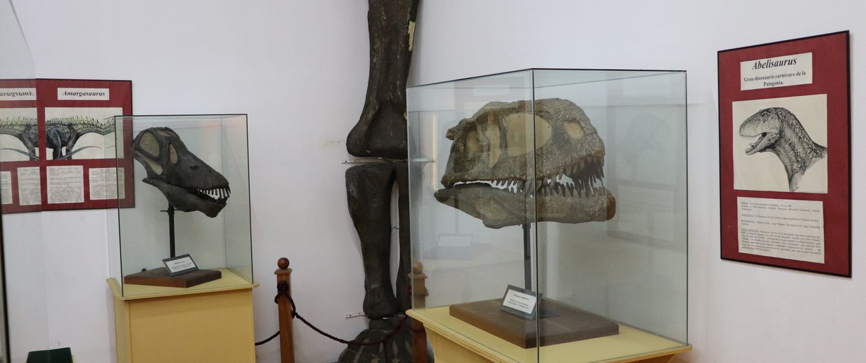 Aniversario de Museo de Paleontología