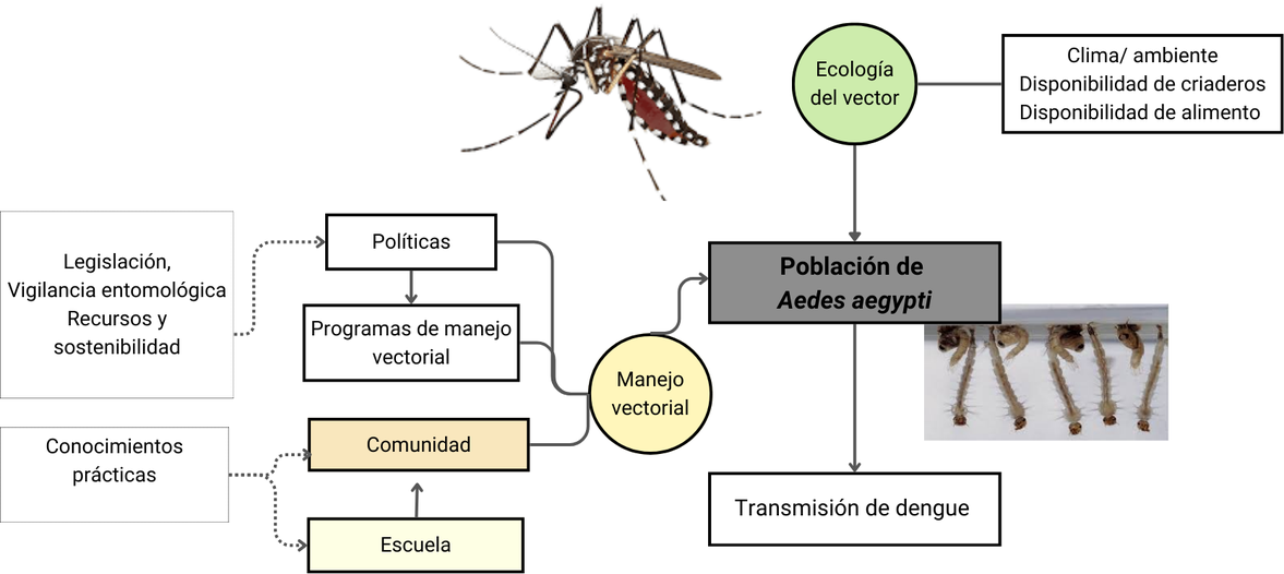 Ilustración de Tesis.png