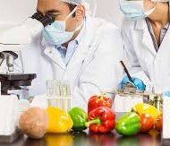 Instituto de Ciencia y Tecnología de Alimentos Córdoba (ICYTAC).jpg