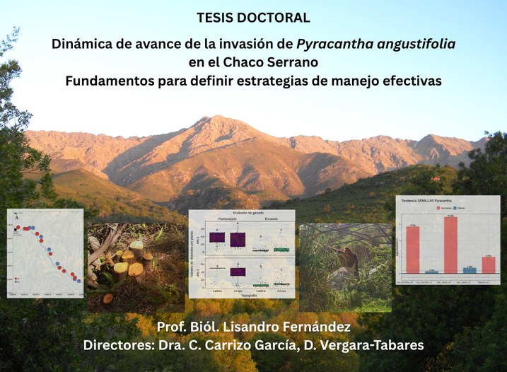 Defensa de Tesis Doctoral: Dinámica de avance de la invasión del arbusto exótico Pyracantha angustifolia en el Chaco Serrano: fundamentos para definir estrategias de manejo efectivas