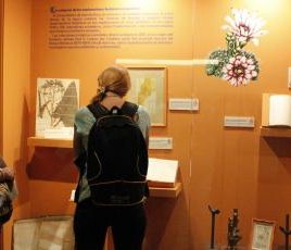 MUSEO BOTANICO (5) (1).jpeg