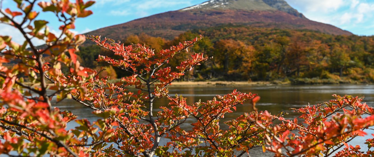 PARQUE NACIONAL TIERRA DEL FRIO.jpg