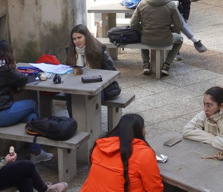 Retiro del árbol del patio de sede centro.jpg