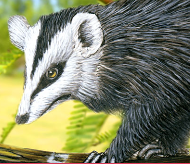 Manual de Fauna