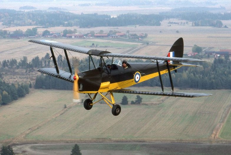 Tiger Moth.jpg