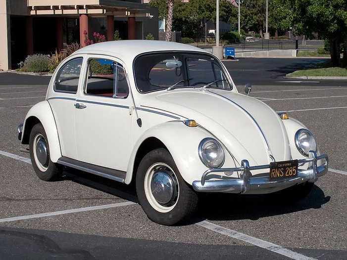 beetle.jpg