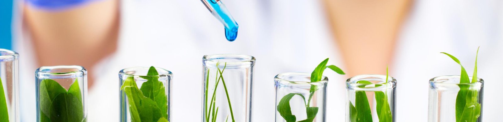 biotecnologia_que_es_para_que_sirve_y_ejemplos_774_orig.jpg
