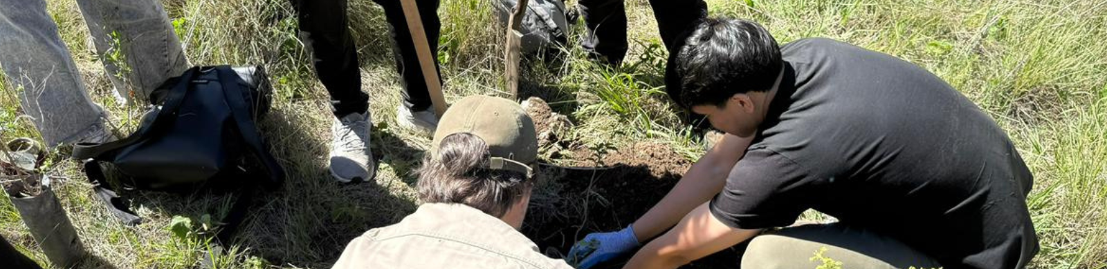 Arboles FCEFYN 150 aniversario