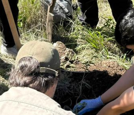 Arboles FCEFYN 150 aniversario