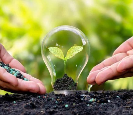 dia-mundial-del-medio-ambiente-2024-1.jpg