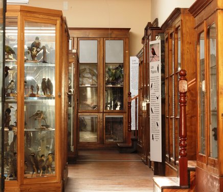Museo de Zoología