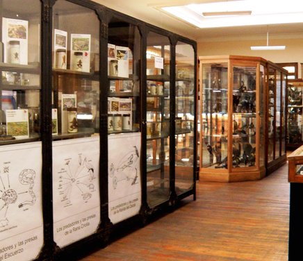 Museo de Zoología