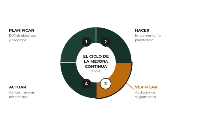 grafico_phva_circular.jpg