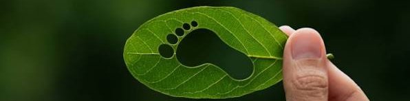 images.jfif
