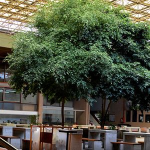 Carrera Ingeniería Aeroespacial - Página oficial de la Facultad de Ciencias  Exactas, Físicas y Naturales de la U.N.C