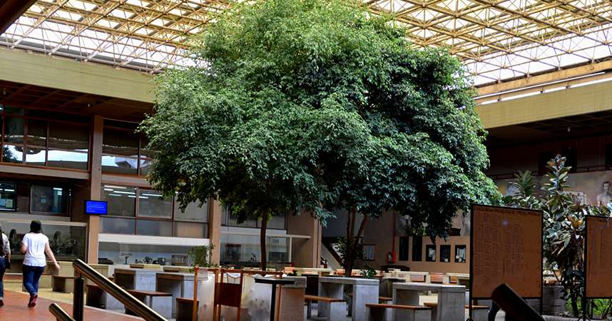 Secretaría General Página oficial de la Facultad de Ciencias Exactas