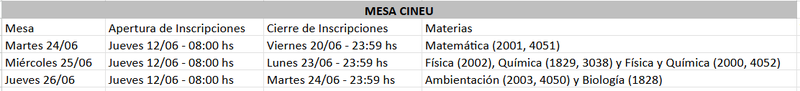 mesa cineu junio 2025