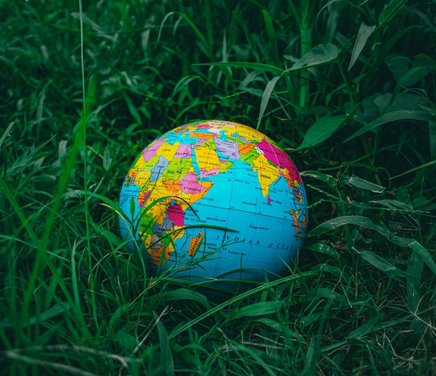 mundo cesped claro.jpeg