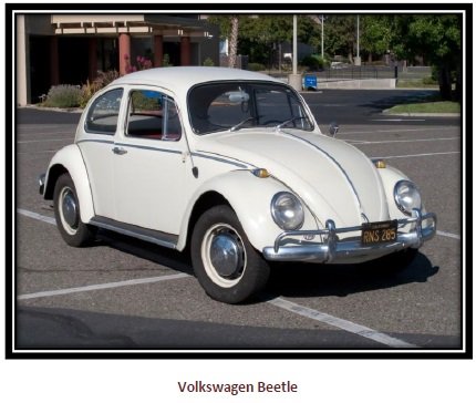 new-beetle-vechiculo.jpg